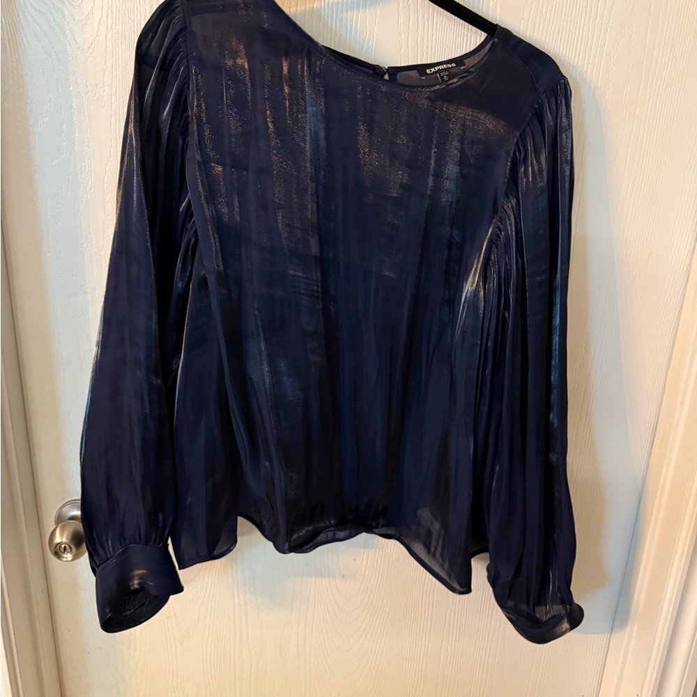 Express Shimmery Navy Long-Sleeve Satin Top
